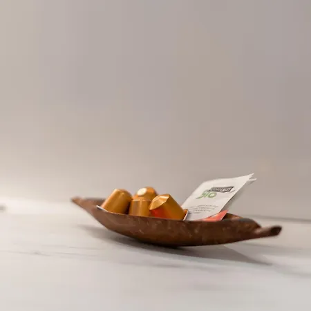 L'elegant - Capitole Apartmán *